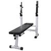loibinfen Fitness Workout Bench Straight Weight Bench, Strength Training Bench for Full Body Workout,Fitness Barbell Rack and Weight Bench for Home Gym (Style I) view 1