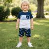 18-24 Month Boy Clothes Summer Outfits Baby Boy Dinosaur Short Sleeve T-Shirt & Shorts Set, Blue Dinosaur Set 18-24M/80cm view 2