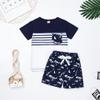 12 Month Boy Clothes Baby Boy Summer Outfits Dinosaur T-Shirt Top & Shorts Clothing Set, Blue Dinosaur Set 12-18M/70cm view 4
