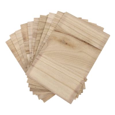 BESPORTBLE 10pcs Taekwondo Breaking Boards Planks for Martial Arts Training for Taekwondo Karate and Performance Use