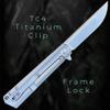 TACTICAL GEARZ Titanium Pocket Knife for EDC, Solid Tc4 Titanium Handle, Stonewashed D2 Steel Blade, Includes Sheath (Titan) view 3