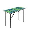 MOOTHLION Small Ping Pong Table Foldable with Net, Preassembled and Multi Use Kids Ping Pong Table view 1