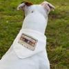 80's Cassette Tape Pet Bandana Collar - Music Print Scarf Collar - Cool Art Dog Bandana - S view 2