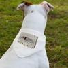 Retro Vintage Pet Bandana Collar - Retro Music Scarf Collar - Cool Dog Bandana - XL view 2