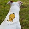 Baby Duck Pet Bandana Collar - Cool Funny Scarf Collar - Cute Design Dog Bandana - S view 2