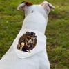 Funny English Bulldog Pet Bandana Collar - Digital Art Scarf Collar - Printed Dog Bandana - XL view 2