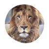 Lion Bucket Hat Unisex Animal Fisherman Hat Packable Summer Travel Beach Sun Hat for Men Women view 4