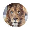 MANQINF Unisex Funny Lion Print Bucket Hat Summer Travel Fisherman Cap for Women Men Teens view 4