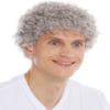 Wiwige Grey Afro Wig for Men Short Curly Halloween Disco Rock Heat Resistant Synthetic Wigs with Wig Cap view 2
