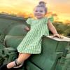 AGQT Baby Girls Plaid Dress Gingham Fly Sleeve Backless Summer Dresses Spring Smocked Birthday Easter Dresses Green Size 18-24 Months view 3
