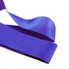 Saktopdeco Blue Rhythmic Gymnastics Set of 2 Gymnastics Ribbon Dance Streamers Sticks for Talent Shows Gymnastics Party view 4