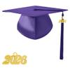 TngHui Preschool and Kindergarten Shiny Purple Graduation Cap with 2026 Tassel Charm view 1