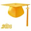 TngHui Preschool and Kindergarten Shiny Gold Graduation Cap with 2026 Tassel Charm view 1