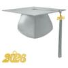TngHui Preschool and Kindergarten Shiny Silver Graduation Cap with 2026 Tassel Charm view 1