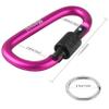 10 Pack Aluminum D Ring Key Rings Clips Locking Carabiner for Camping Fishing and Outdoor UseClips with Screw Gate Multicolored view 2