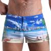 Bang Men's Swimwear Mini Shorts - Quick-Dry All-Use Premium Beach Trunks Square Cut (Wish You were HERE - L) view 1