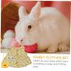 BCOATH 2sets Bunny Clothes for Guinea Pigs Breathable Costume Pet Dress-up for view 3