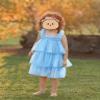 AGQT Baby Girls Tulle Tutu Dress Toddlers Tulle Layered Lace Dresses Sleeveless Princess Party Dress Summer Ruffles Sundress with Flower Headband Light Blue Size 9-12 Months view 2