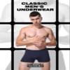 youlehe Men's Underwear Soft Bamboo Viscose Boxer Briefs Stretch Trunks Pack (as1, alpha, m, regular, regular, 8 Pack 029) view 2