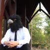 SANZHIGUO Black Eagle Mask Novelty Latex Hawk Mask Closed Mouth Eagle Head Mask Animal Costume Bird mask for Party Festival Halloween Masquerade view 2