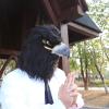 SANZHIGUO Black Eagle Mask Novelty Latex Hawk Mask Closed Mouth Eagle Head Mask Animal Costume Bird mask for Party Festival Halloween Masquerade view 4