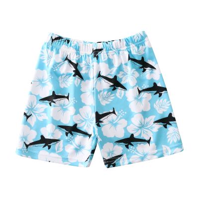 Toddler Bathing Suit Kids Infant Beach Swimming Dinosaur Boys Toddler Shorts Trunks Swim Trunks (Light Blue, 3-4 Years)
