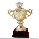 SOVEREIGN CREATIONS Metallic Gold Brass Trophy for Winner and Champions (Size: 16.5) - LT 646