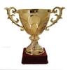 SOVEREIGN CREATIONS Metallic Gold Brass Trophy for Winner and Champions (Size: 13) - LT 647 view 1