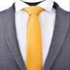 Branduce 2.4" Yellow Tie Skinny Tie for Men 6cm Solid Bright Yellow Thin Slim Necktie (TA04-19) view 2