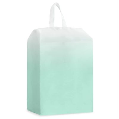 Summer Ombre Green Shoe Bags,Large Travel Golf Shoes Pouch Bags Storage Organizer Accessories with Zipper & Handle for Men, Women, Kids, Traveling, Gym, Sport, Abstract Modern White Gradient Art