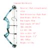 AMEYXGS Compound Bow and Arrow Set Draw Weight 30-55lbs Draw Length 24"-29.5" Adjustable Aluminum Right/Left Handed Composite Bow for Adult (Blue Bow/Left Handed) view 2