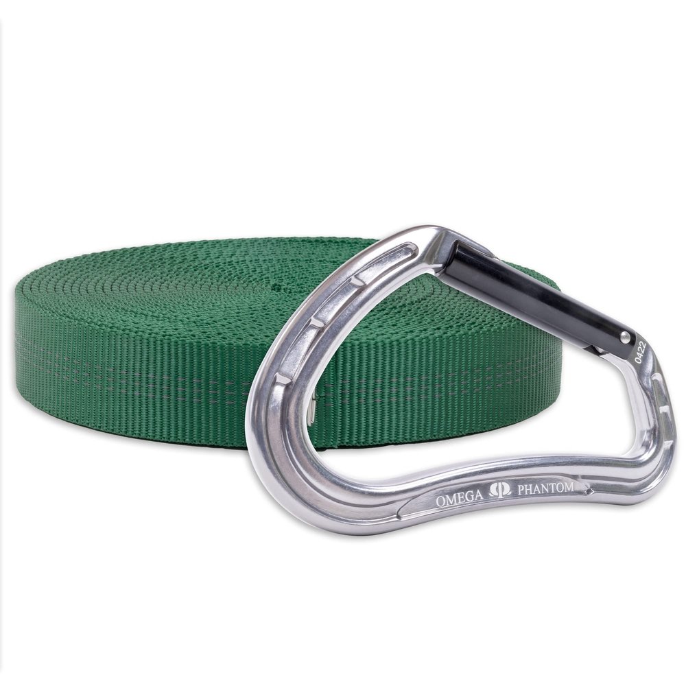 Rock-N-Rescue 25-Foot Webbing and Carabiner Combo | Heavy-Duty, Versatile Rigging Tool for Outdoor Adventures | Expert Construction for Strength & Lasting Durability (Green)