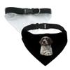 Daisy Flower Pet Bandana Collar - Floral Print Scarf Collar - Cute Dog Bandana - M view 3