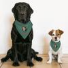 Animal Design Pet Bandana Collar - Printed Scarf Collar - Cool Dog Bandana - M view 4