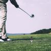 BESPORTBLE 10pcs Replaceable Golf Brush Tees Golf Holders and Cleaners for Practice and Training view 3