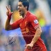 Luis Suarez Hand Signed Autograph Liverpool FC Football Soccer Memorabilia Photo In Luxury Handmade Wooden Display & Certificates of Authenticity view 3