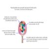 TigerTail Sports Flamingo Aloha Colorful Design Ping Pong Paddle, Premium 5 Ply Table Tennis Racket (Black on Back) view 3