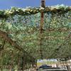 CHEVVY Green Camo Net,Jungle Camouflage Netting with Mesh,2x3m Camping Hunting Blinds Shooting Military Outdoor Shade Netting 3x4m 4x5m 4x6m 5x8m 10x10m 10x20m (Size : 2x10m/6.6x32.8ft) view 2