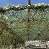 CHEVVY Green Camo Net,Jungle Camouflage Netting with Mesh,2x3m Camping Hunting Blinds Shooting Military Outdoor Shade Netting 3x4m 4x5m 4x6m 5x8m 10x10m 10x20m (Size : 2x6m/6.6x19.7ft) view 2