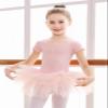 EASTBUDDY Ballet Dress for Girls,Toddler Dance Leotard with Tutu Skirt Short Sleeve Ballerina Outfit (Pink-Open Crotch With Snaps/2-3 Years) view 2