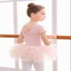EASTBUDDY Ballet Dress for Girls,Toddler Dance Leotard with Tutu Skirt Short Sleeve Ballerina Outfit (Pink-Open Crotch With Snaps/2-3 Years) view 3