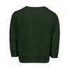 Haase Unlimited San Antonio - Sports State City School Youth Fleece Crewneck Sweater (Forest Green, X-Large (Youth)) view 2