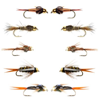 The Fly Fishing Place Basics Collection - Tungsten Bead Head Nymph Assortment - 10 Wet Flies - 5 Patterns - Hook Sizes 10, 12, 14, 16