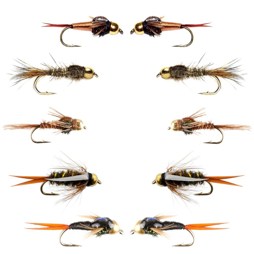 The Fly Fishing Place Basics Collection - Tungsten Bead Head Nymph Assortment - 10 Wet Flies - 5 Patterns - Hook Sizes 10, 12, 14, 16