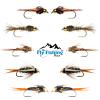 The Fly Fishing Place Basics Collection - Tungsten Bead Head Nymph Assortment - 10 Wet Flies - 5 Patterns - Hook Sizes 10, 12, 14, 16 view 2