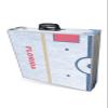 PARTYPONG 8-Foot Professional Beer Pong Table w/LED Lights - Florida Hockey Rink view 2