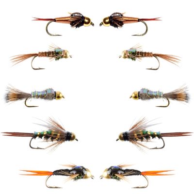 The Fly Fishing Place Basics Collection - Flash Back Tungsten Bead Head Nymph Assortment - 10 Wet Flies - 5 Patterns - Hook Sizes 10, 12, 14, 16