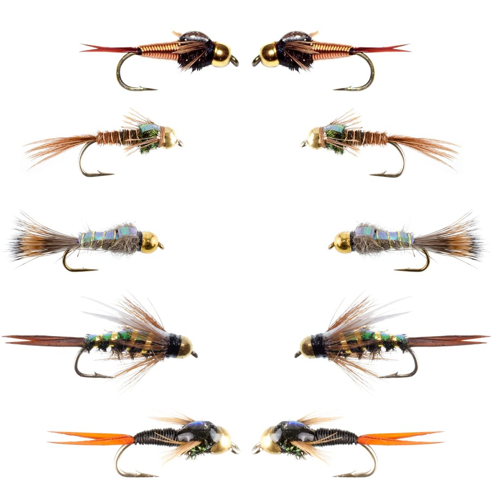 The Fly Fishing Place Basics Collection - Flash Back Tungsten Bead Head Nymph Assortment - 10 Wet Flies - 5 Patterns - Hook Sizes 10, 12, 14, 16