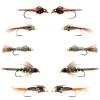 The Fly Fishing Place Basics Collection - Flash Back Tungsten Bead Head Nymph Assortment - 10 Wet Flies - 5 Patterns - Hook Sizes 10, 12, 14, 16 view 1