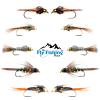 The Fly Fishing Place Basics Collection - Flash Back Tungsten Bead Head Nymph Assortment - 10 Wet Flies - 5 Patterns - Hook Sizes 10, 12, 14, 16 view 2